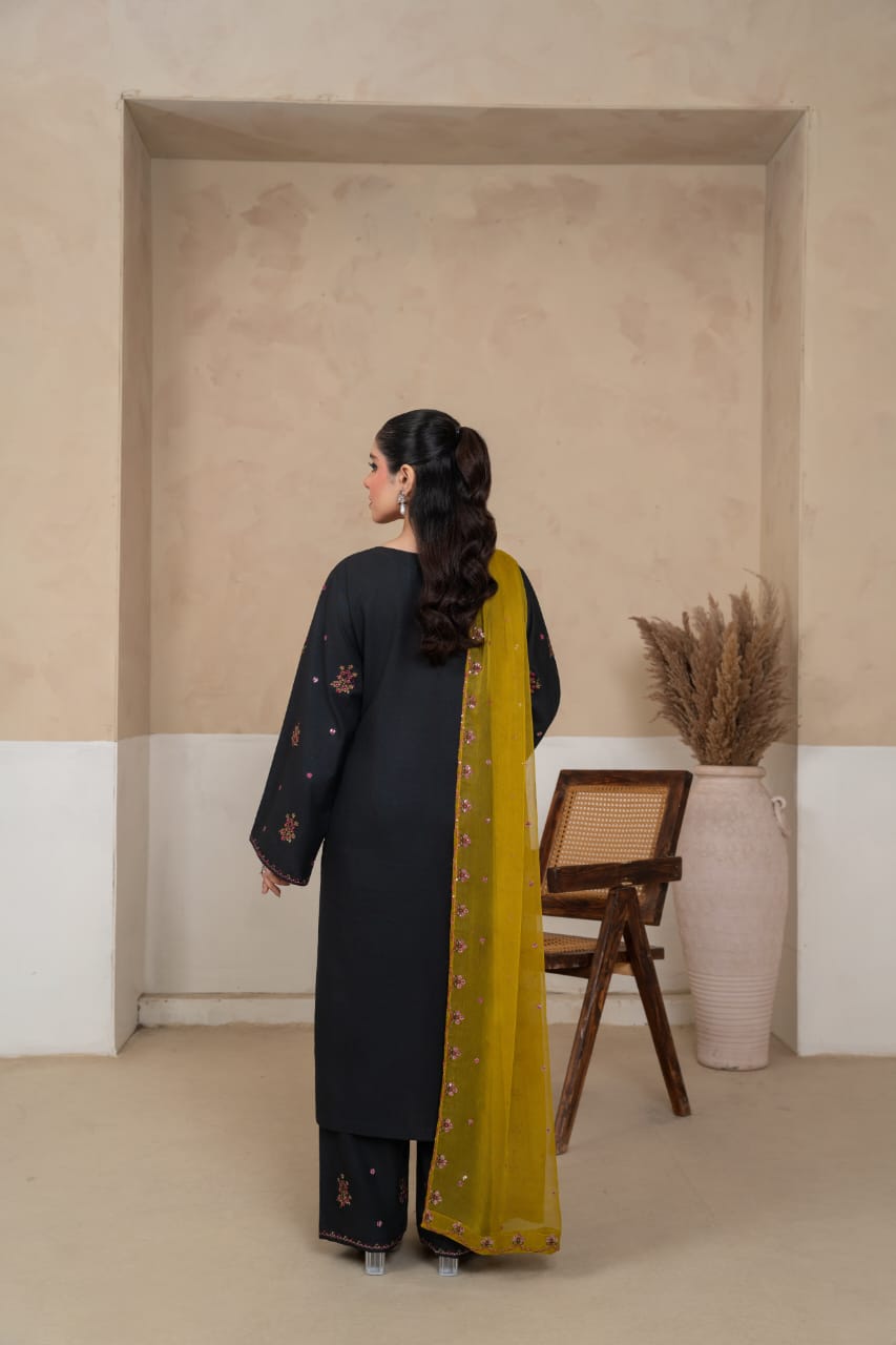 Allyure Embroidered 3pc