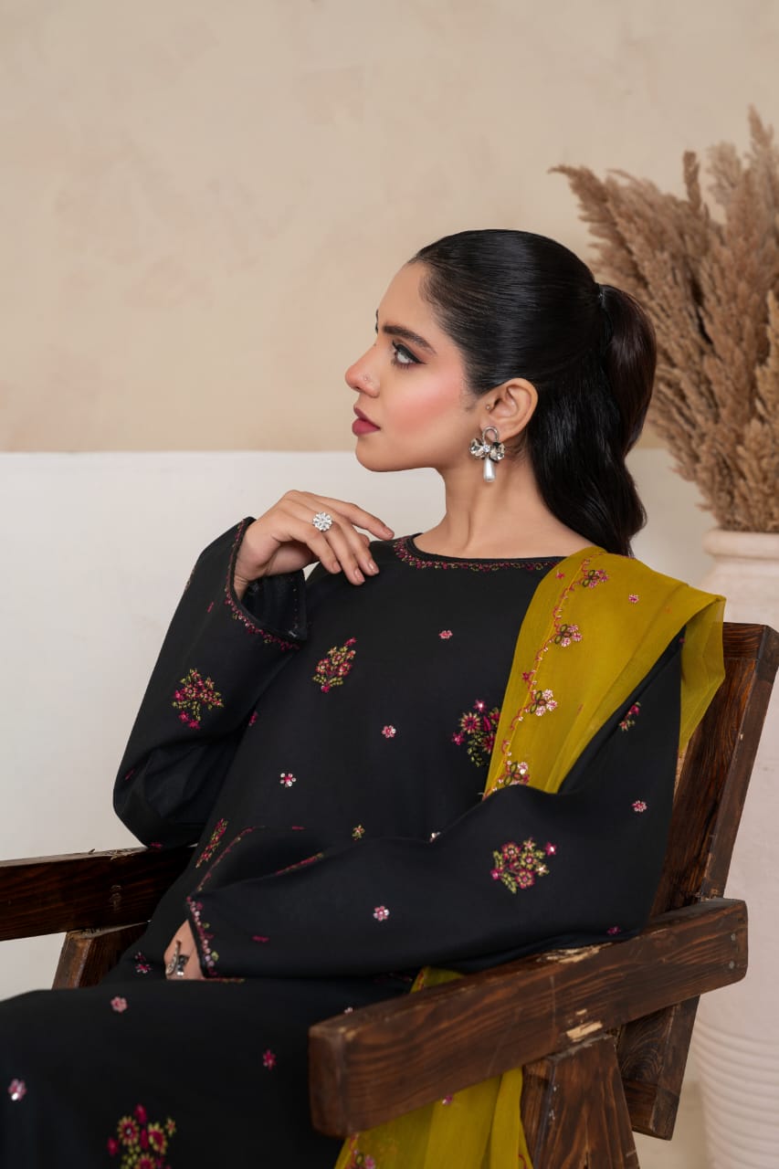 Allyure Embroidered 3pc